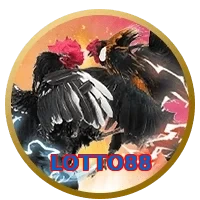 LOTTO88